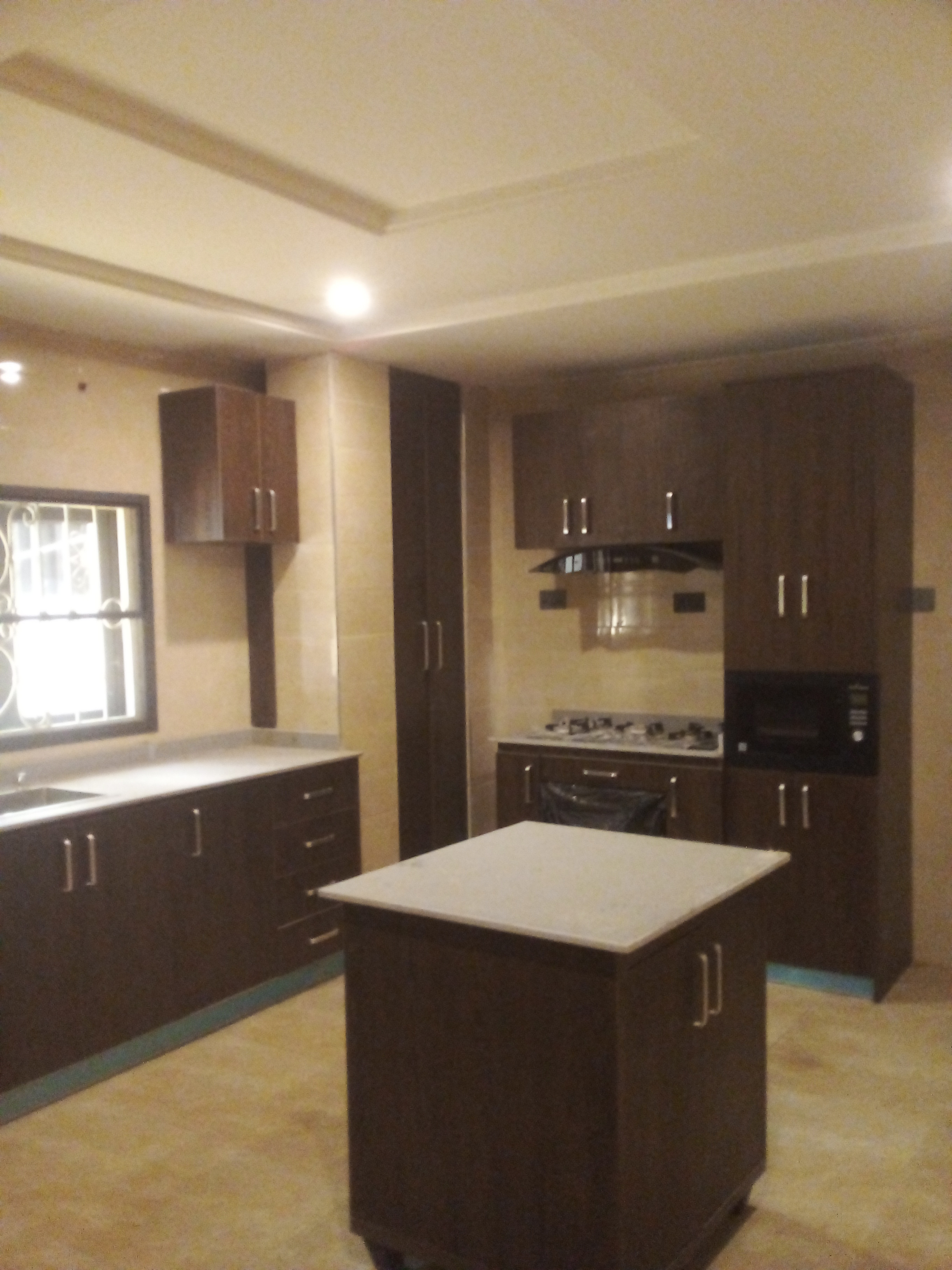 Brand new top-notch 4 bedroom fully detached with a room BQ