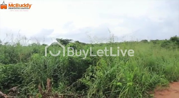 Land for sale at Free Trade Zone