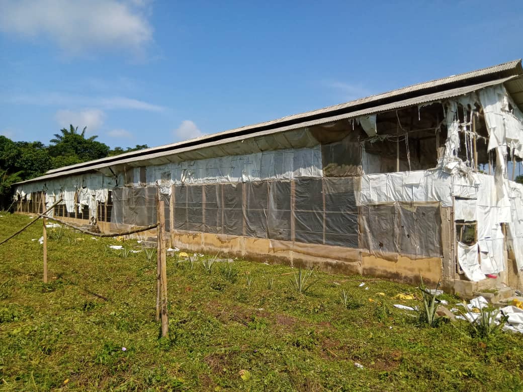 POULTRY FARM FOR SALE for sale Epe Lagos (PID BLLP513521) BuyLetLive